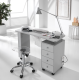Professional manicure table with built-in vacuum fan PRO 1 (800.310)