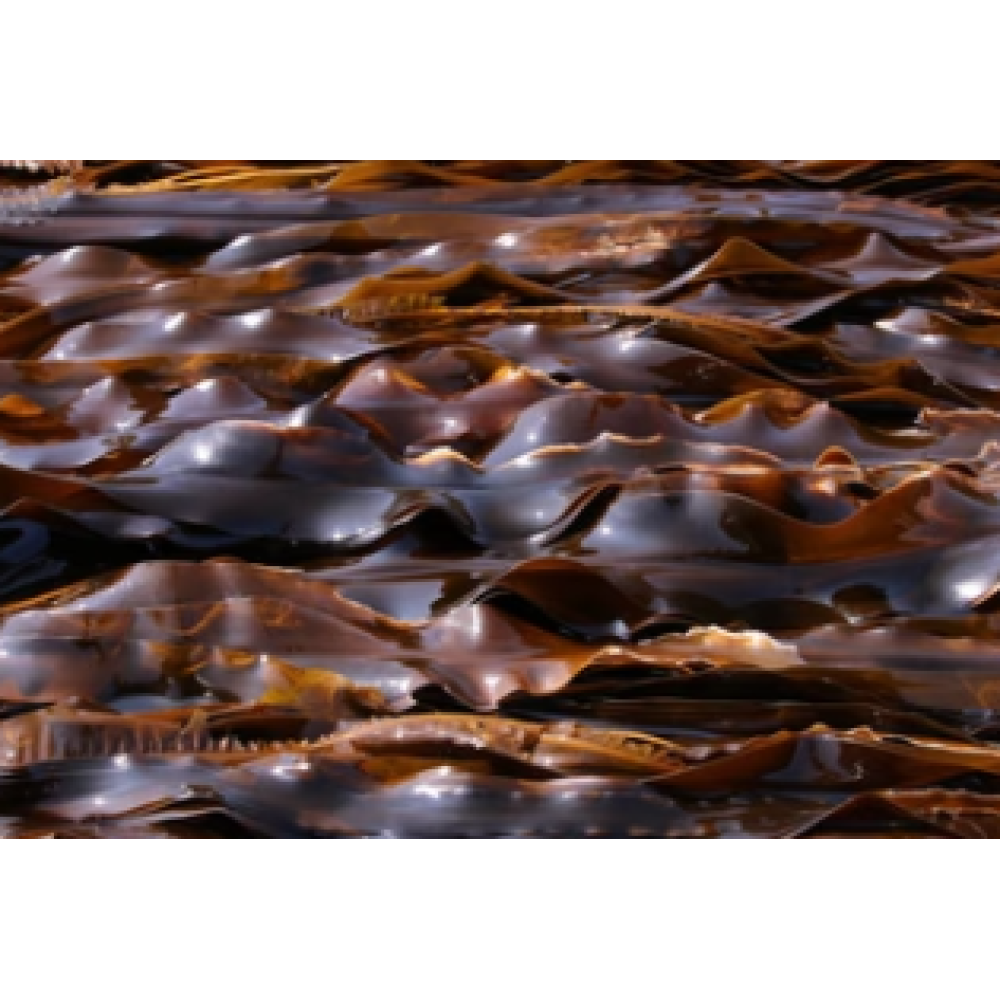 CARELIKA Exotic Body Scrub, 200ml