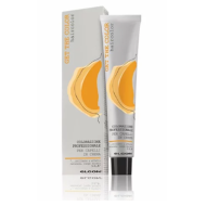 ELGON GET THE COLOR, 10/31 - GOLDEN ASH PLATINUM BLONDE