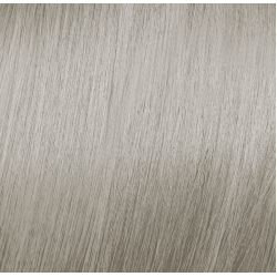 ELGON Tonalight - Professional ammonia-free toning hair color, 10.1 - PLATINUM ASH BLONDE