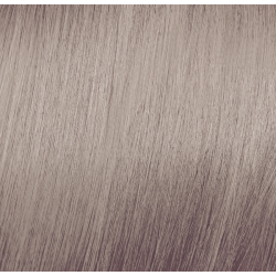 ELGON Tonalight - Professional ammonia-free toning hair color, 10.21 - PLATINUM BEIGE ASH BLONDE
