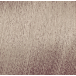 ELGON Tonalight - Professional ammonia-free toning hair color, 10.23 - PLATINUM BEIGE GOLDEN BLONDE