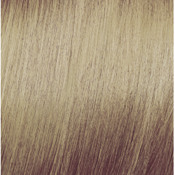 ELGON Tonalight - Professional ammonia-free toning hair color, 10.3 - PLATINUM GOLDEN BLONDE