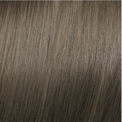 ELGON Tonalight - Professional ammonia-free toning hair color, 8.1 - LIGHT ASH BLONDE