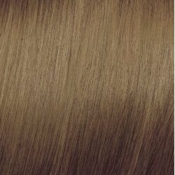 ELGON Tonalight - Professional ammonia-free toning hair color, 8 - LIGHT BLONDE
