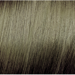 ELGON Tonalight - Professional ammonia-free toning hair color, 8.31 - LIGHT GOLDEN ASH BLONDE