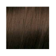 ELGON GET THE COLOR, 6/81 - DARK BLONDE ASH BROWN (elg-get-6-81)