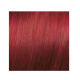 ELGON GET THE COLOR, 7/55 - BLOND RED INTENSE (elg-get-7-55)