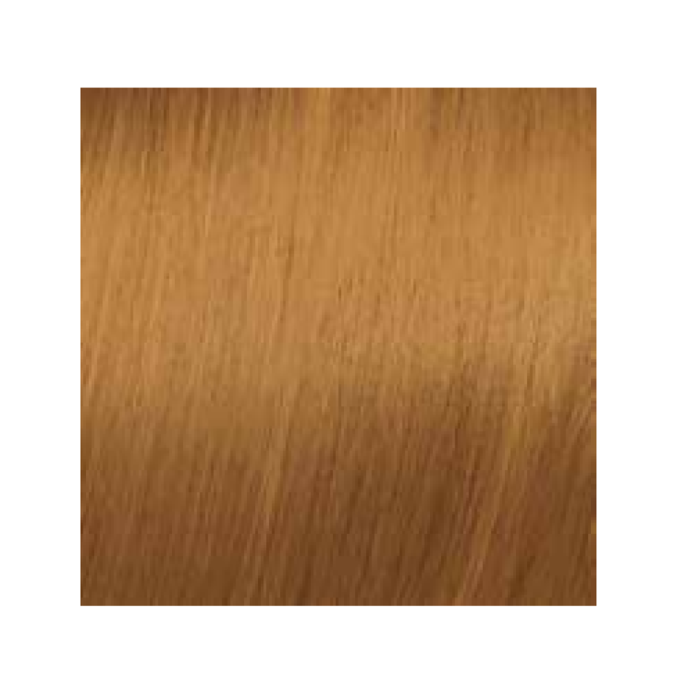 ELGON GET THE COLOR, 8/04 - LIGHT BLOND NATURAL COPPER (elg-get-8-04)