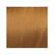 ELGON GET THE COLOR, 8/04 - LIGHT BLOND NATURAL COPPER (elg-get-8-04)