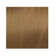 ELGON GET THE COLOR, 8/3 - LIGHT GOLDEN BLONDE (elg-get-8-3)