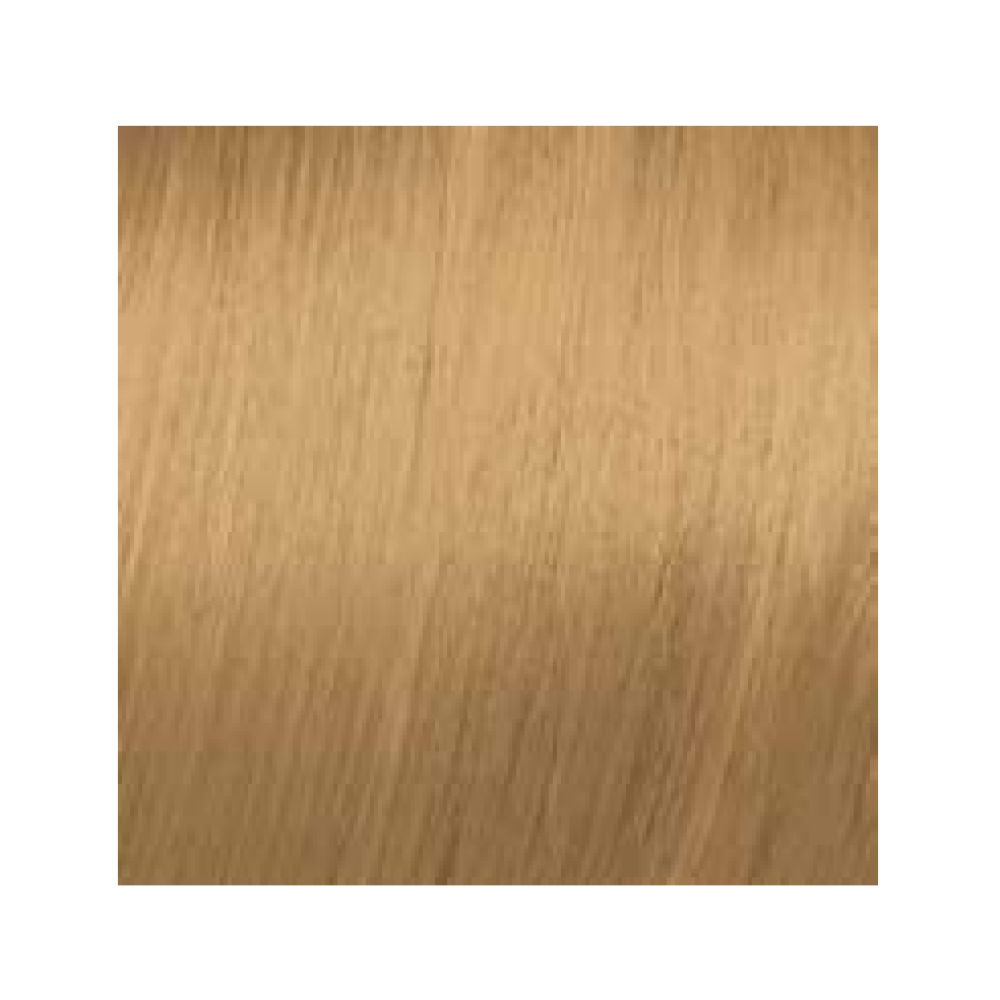 ELGON GET THE COLOR, 9/33 - SUPER LIGHT BLOND INTENSE GOLDEN (elg-get-9-33)