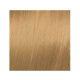 ELGON GET THE COLOR, 9/33 - SUPER LIGHT BLOND INTENSE GOLDEN (elg-get-9-33)