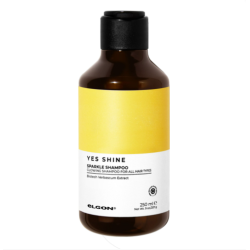 ELGON Yes Shine Sparkle Shampoo, 250ml