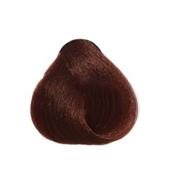 Singularity 6.5 DARK MAHOGANY BLONDE