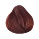 Singularity 6.52 DARK CHOCOLATE MAHOGANY BLONDE (BRL7775)