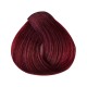 Singularity 6.62 DARK RED VIOLET BLONDE (BRL7782)