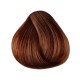 Singularity 7H HAZELNUT (BRL8765)