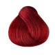 Singularity 8.66 LIGHT INTENSE RED BLONDE (BRL8109)