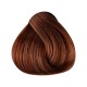 Singularity 8T TOFFEE (BRL8703)
