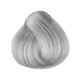 Singularity METALLIC ALUMINIUM  permanenta matu krāsa 100ml (BRL9281)