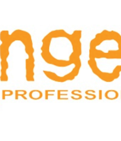 Angel Professional