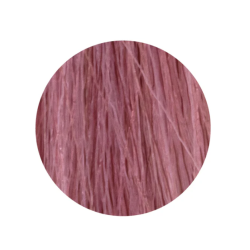 ETB Hair Permanent Color Cream - 10.26 - BLONDE PLATINUM IRIS RED