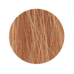 ETB Hair Permanent Color Cream - 10.32 - BLONDE PLATINUM GOLDEN IRIS