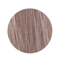ETB Hair Permanent Color Cream - 11.12 - BLONDE ULTRA PLATINUM ASH IRIS