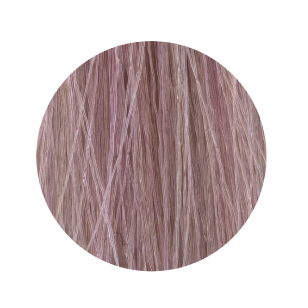 ETB Hair Permanent Color Cream - 11.21 - BLONDE ULTRA PLATINUM IRIS ASH (6426980004144)