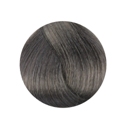 ETB Hair Permanent Color Cream - 8.11 - LIGHT BLONDE INTENSE ASH