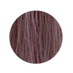 ETB Hair Permanent Color Cream - 9.21 - VERY LIGHT BLONDE IRIS ASH