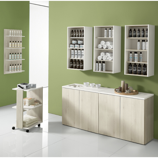 Beauty Salon Furniture