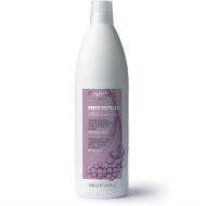 Oyster FRUIT SUBLIME Grape Extract Conditioner, 1000ml