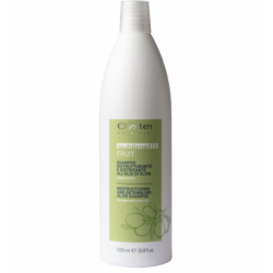Oyster FRUIT SUBLIME Olive Shampoo, 1000ml
