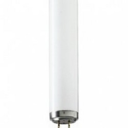 Solārija lampa Max Warp 800 Longlife X-Press 0.3 120W, 1.9m