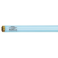 Solārija lampa Max Warp 800 Longlife X-Press 0.3 160W
