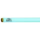 Solārija lampa Max Warp 800 Longlife X-Press PLUS 0.3 180W, 2m (13244)