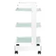 COSMETIC TABLE TYPE 1010 GIOVANNI (122616)