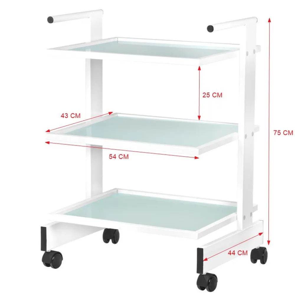 COSMETIC TABLE TYPE 1010 GIOVANNI (122616)