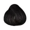 Singularity 1.0 BLACK