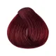 Singularity 6.62 DARK RED VIOLET BLONDE