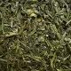 CHINA SENCHA green tea, 100gr.