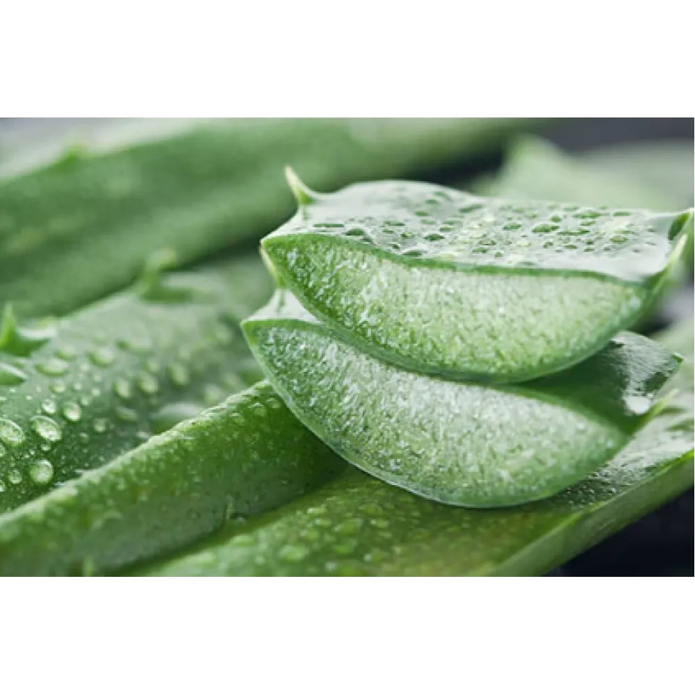 CARELIKA Pistachio Body Butter, 250ml