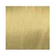 ELGON GET THE COLOR, 10/3 - PLATINUM GOLDEN BLONDE
