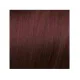 ELGON GET THE COLOR, 5/5 - LIGHT CHESTNUT RED