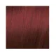 ELGON GET THE COLOR, 6/5 - DARK RED BLONDE