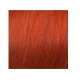 ELGON GET THE COLOR, 7/45 - RED COPPER BLONDE