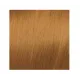 ELGON GET THE COLOR, 8/04 - LIGHT BLOND NATURAL COPPER