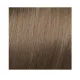 ELGON GET THE COLOR, 8/31 - LIGHT GOLDEN ASH BLONDE